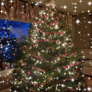 Meet your Posher, Diana